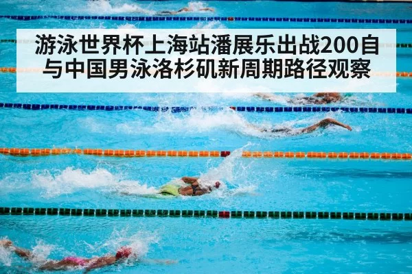 游泳世界杯上海站潘展乐出战200自与中国男泳洛杉矶新周期路径观察
